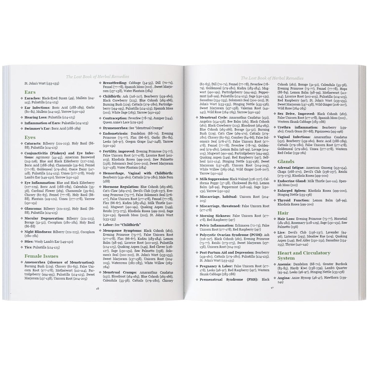 The Lost Book of Herbal Remedies: 800+ Medicinal Plants & Natural Home Remedies