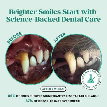 Pet Honesty Dental Powder, Breath Freshener and Teeth Cleaning Dental Care for Dogs, Plaque Tartar Remover with Postbiotic