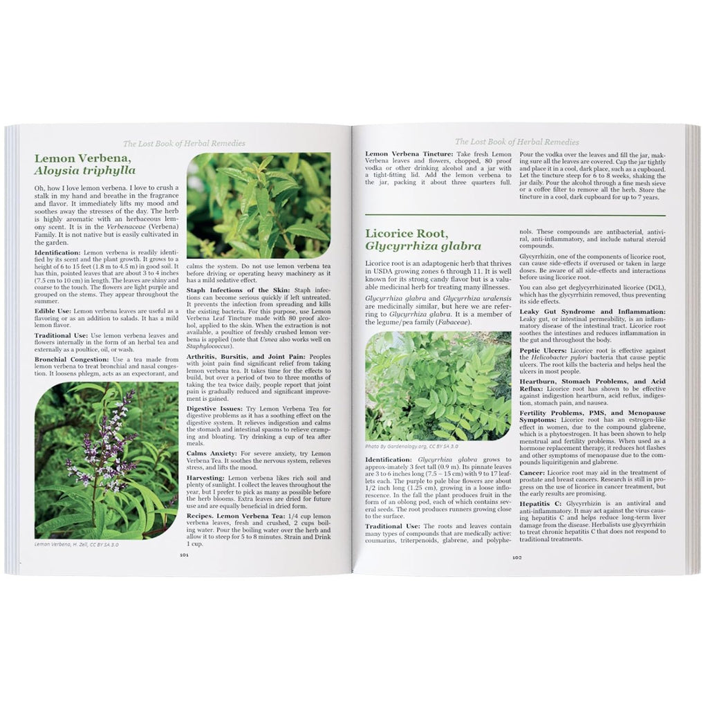 The Lost Book of Herbal Remedies: 800+ Medicinal Plants & Natural Home Remedies