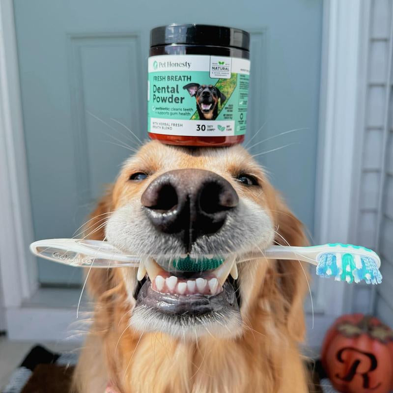 Pet Honesty Dental Powder, Breath Freshener and Teeth Cleaning Dental Care for Dogs, Plaque Tartar Remover with Postbiotic