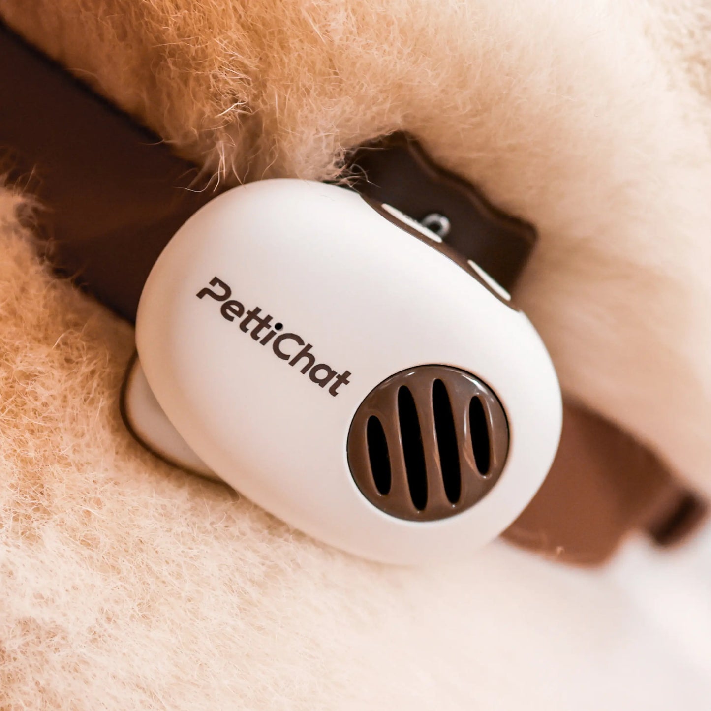 PettiChat Pet Translator Collar for Cats & Dogs – Real-time voice translation, hybrid location tracker, IP65 waterproof, lightweight AI communicator (27.2 g) with interactive conversation, magnetic charging system, portable and easy charging