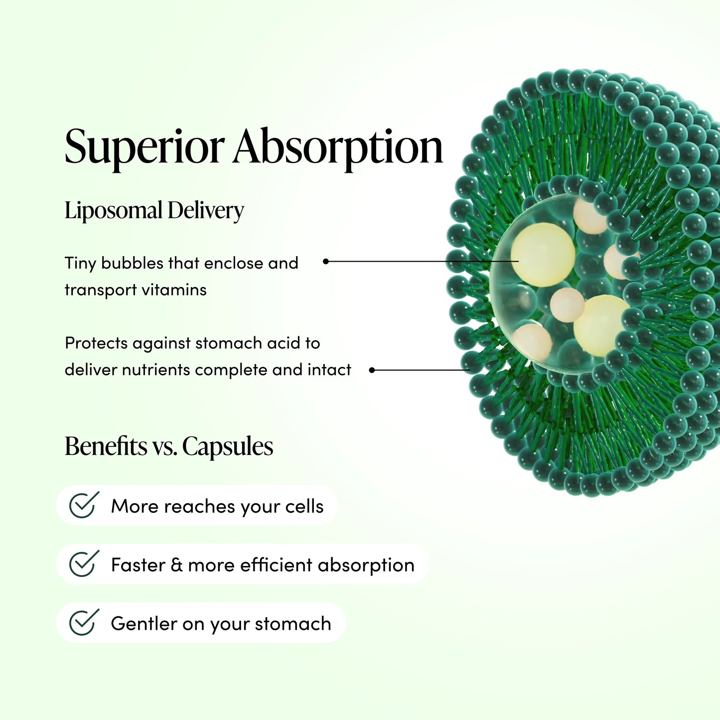 Propolis + Vitamin C Liposomal